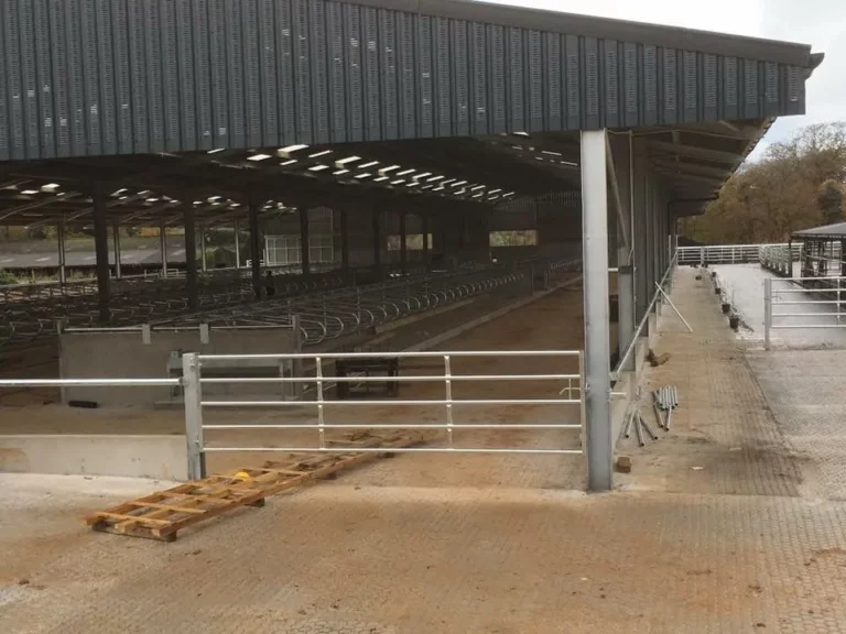 Cattle barn with steel roof, feed troughs and gates.