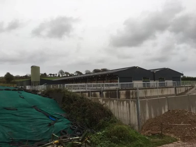Construction site with concrete walls and green-covered silage pit.