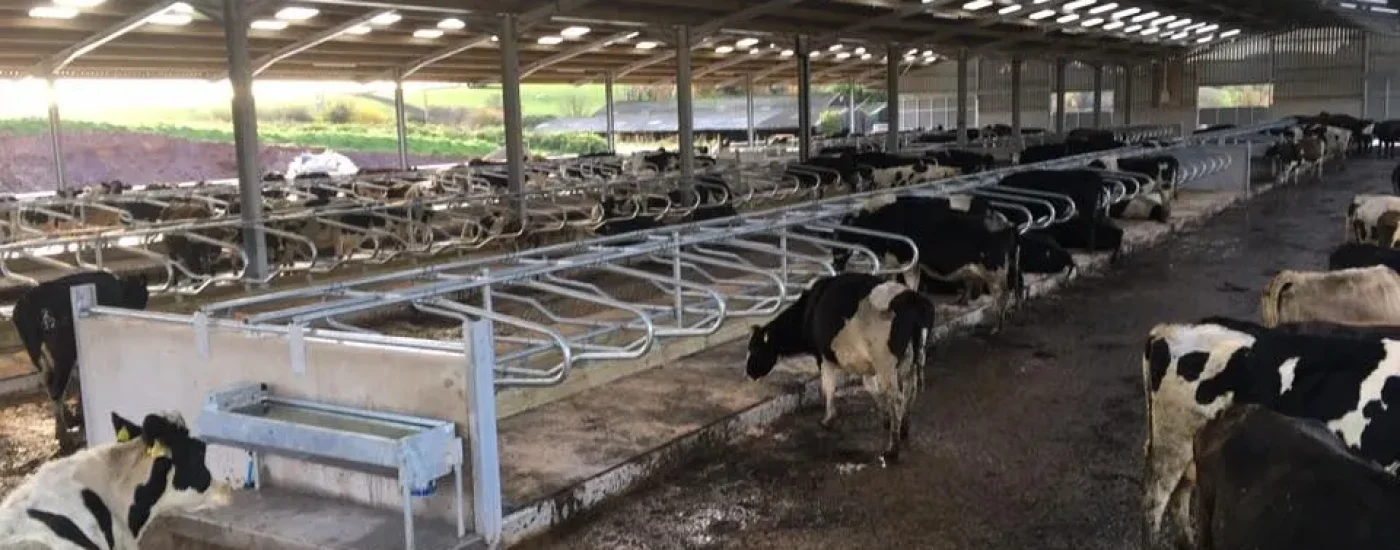 farm-and-agricultural-gallery-01-1920w