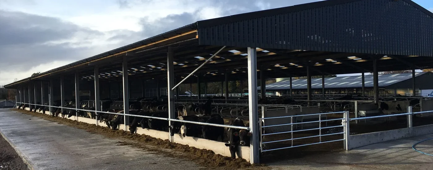 rb-building-gallery-07-1920w